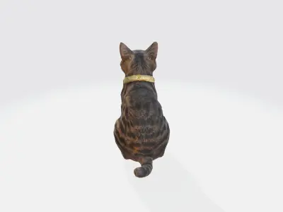 A calico cat 3D model