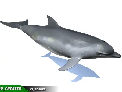 Low-Poly Bottlenose Dolphin Rigged Animated 3D model Low-poly 3D model