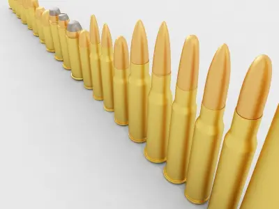 The Pistol and Rifle Cartridge Collection  3D model