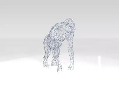 Orangutan Wireframe 3D model