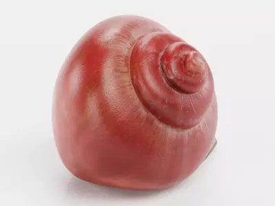 -Snail Shell- Low-poly 3D model