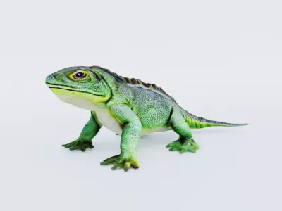 Iguana Free 3D model