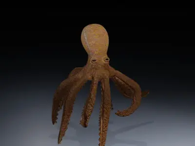 Blender Rigged Octopus 3D model