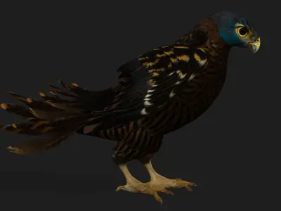 Kestrel B8 Low-poly 3D model