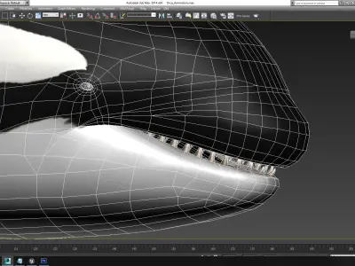 Orca Killer Whale - Animated - Octane Support Low-poly 3D model