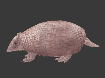 Holmesina armadillo Low-poly 3D model
