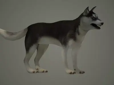 dog animal mammal husky siberian alaska cabin snow perro 3D model