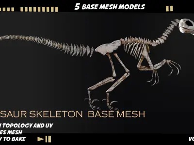 Dinosaur skeleton base mesh-vol 01 Low-poly 3D model