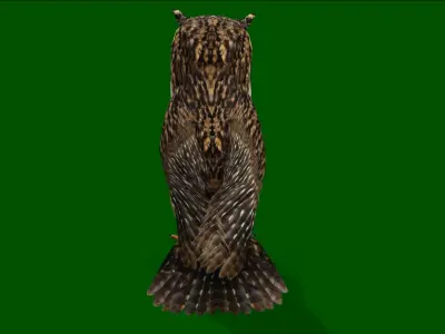 OWL RIGGED ANIMATED 7 Low-poly 3D model