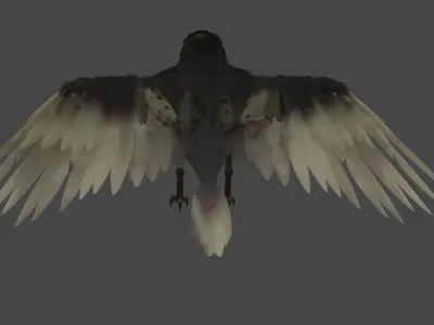 Small Bird 3D model