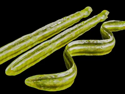 Sea Snake Low-poly 3D model