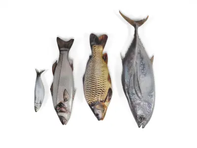 Fish 2 set Low-poly 3D model