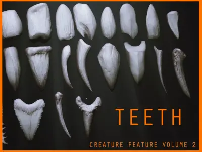 TEETH - Zbrush 24 Assorted Teeth IMM Brush plus OBJs 3D model