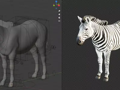 Rigged Zebra Free 3D model