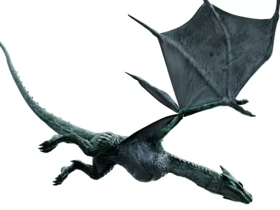 Dragon flying 3D model