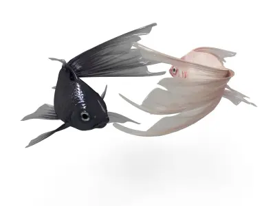 Yin Yang Fish Low-poly 3D model