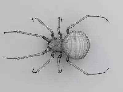 Black widow spider  v2 3D model
