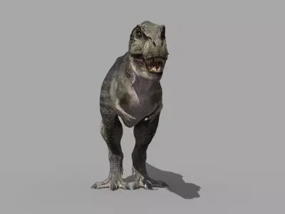 Accurate T Rex 8K - fully animated 3D model