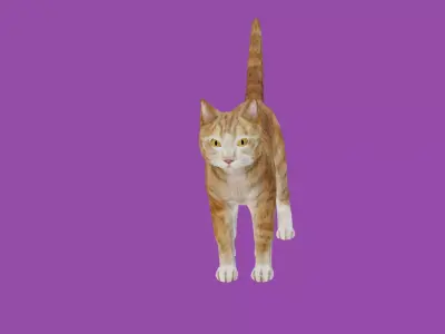 cat lowpoly 3d model 3D model