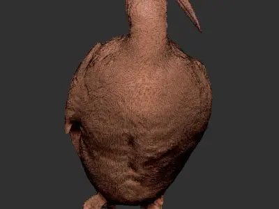 Common loon 08 Low-poly 3D model