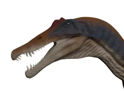 Spinosaurus aegyptiacus Low-poly 3D model