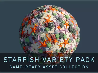 Starfish Variety Pack 3 Low-poly 3D model purchase