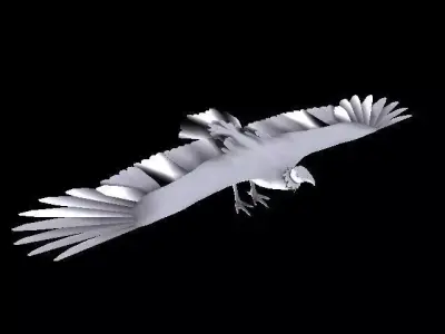 Turkey Vulture Free low-poly 3D model