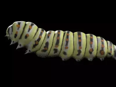 Caterpillar Insect Low-poly 3D model