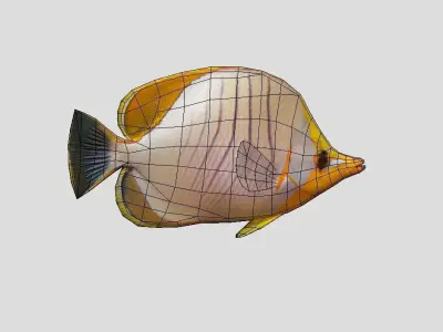 Yellow Head Butterfly fish Low-poly 3D model