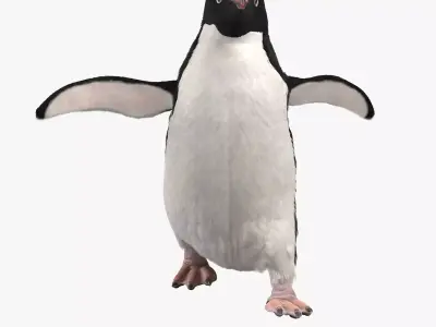 Pygoscelis Animated - VFX Grace 3D model