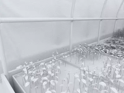 Greenhouse Free 3D model purchase