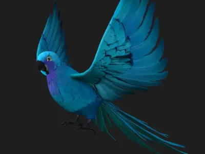 Parrot A6 3D model