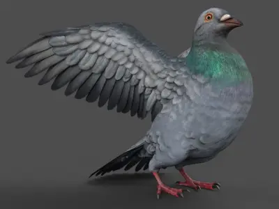Pigeon Game Ready with wings spread Low-poly 3D model