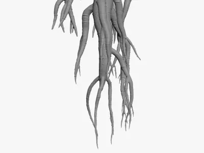 Ginseng for 3D Print 3D model