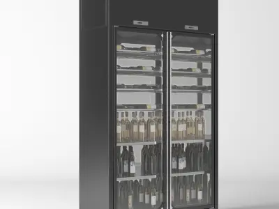  Wine cooler enofrigio 2P 1p wall h260 P60 3D model