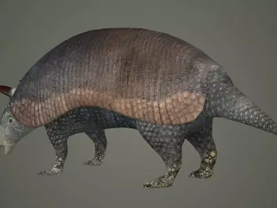 armadillo animal mammal critter wild zoo dasypus 3D model