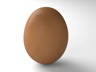 Egg 02 - Photorealistic Scan Low-poly 3D model