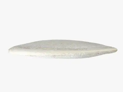 Pumpkin Seed 02 3D model