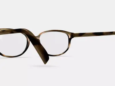 Ira Eyeglasses in Striped Sassafras 3D model