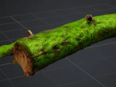 Moss-Covered Fallen Log 3D Model 3D model