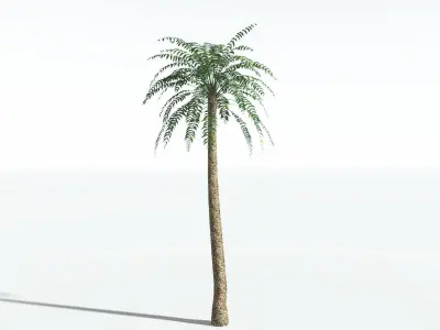 EVERYPlant Date Palm LowPoly 1 --16 Models-- Low-poly 3D model