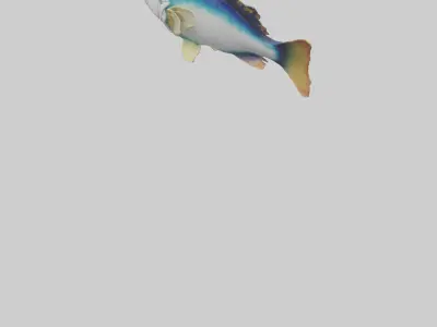 Tilefish statue model Low-poly 3D model