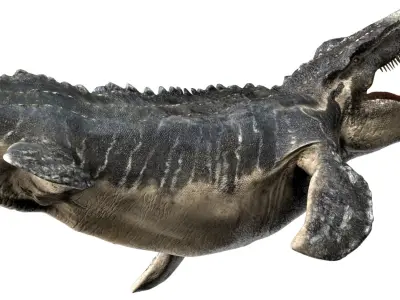 Mosa saurus (Rigged) 3D model