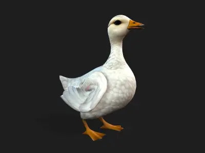 Duck A1 3D model