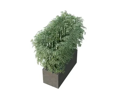 3D Bamboo Plant Model Realistic Potted Indoor Decoration Free low-poly 3D model