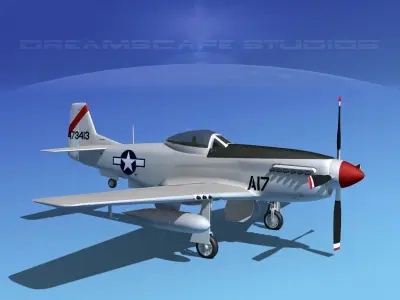 P-51D Mustang Fort Meyers 3D model
