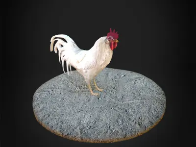 rooster 3d on rock 3D model