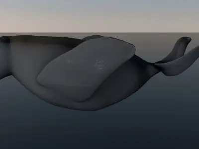 good character seal 3D model