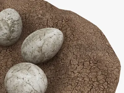 Dinosaur Egg Low-poly 3D model