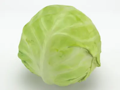 Cruciferous Collection 2 3D model